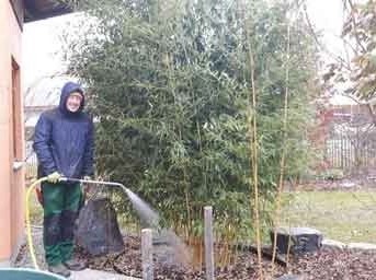 Vor dem Winter gießen